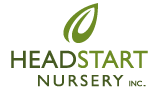 Headstart Nursey